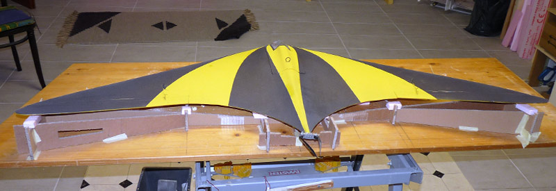 Horten-9 Puscher - Design