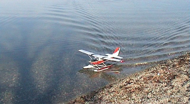 Cessna-w11