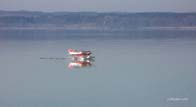 Cessna-w25