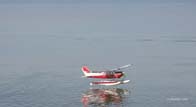 Cessna-w31