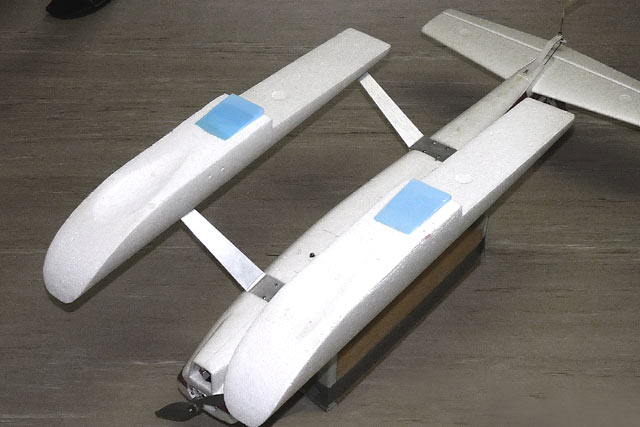 Wasserflug - Surfbrett